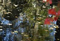 Miroir d'eau